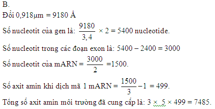 Số Axit Amin Môi Trường Cung Cấp