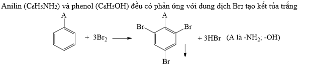 Anilin và Phenol Đều Có Phản Ứng Với: Khám Phá Những Điều Thú Vị