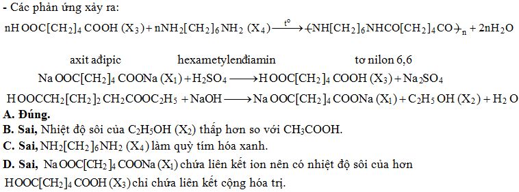 C8H14O4 và NaOH: Phản ứng, Sản phẩm và Ứng dụng Thực tế