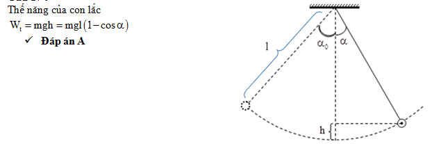 Thế Năng Ở Vị Trí Cân Bằng