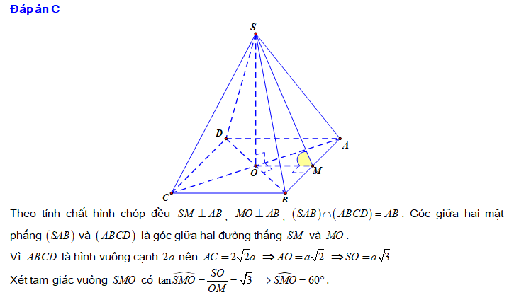 Lý thuyết Hình chóp tam giác đều – hình chóp tứ giác đều SGK Toán 8 - Chân  trời sáng tạo | SGK Toán 8 - Chân trời sáng tạo