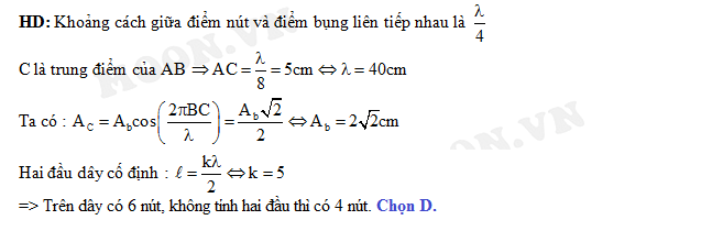 Một Sợi Dây Đàn Hồi Dài 100cm - Bí Quyết Ứng Dụng Và Khám Phá