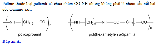 Policaproamit là polime gì? - Tìm hiểu về Nilon-6 và các ứng dụng