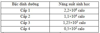 Bài Tập Hiệu Suất Sinh Thái