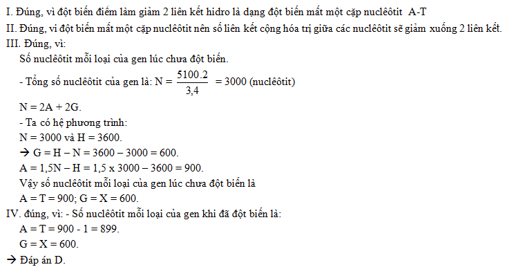 Một Gen Có 3000 Liên Kết Hidro: Khám Phá Cấu Trúc Và Đột Biến