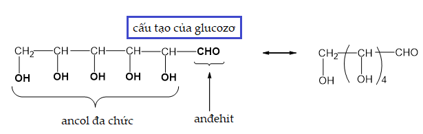 cautaoglucozo-2.png