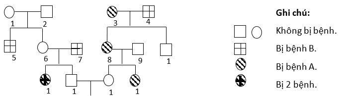 3. Cách Tính Xác Suất Sinh 2 Con Đều Không Bị Bệnh