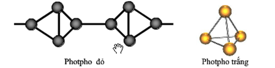 Photpho Trắng và Photpho Đỏ